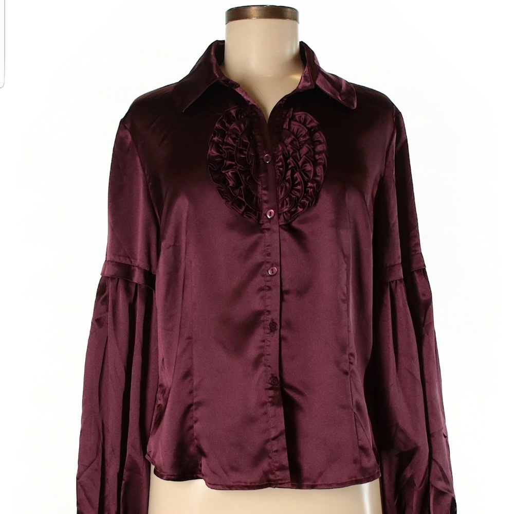 Beautiful and Elegant Long Sleeve Blouse